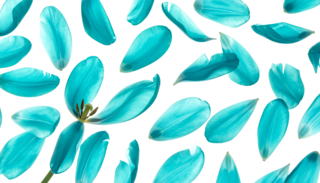 Petals Floating Gently A Soft Blue Floral Symphony