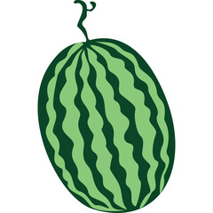 Vibrant Green Watermelon Fruit With Dark Striped Pattern Isolated On White Background With A Stem Detailed Graphic Illustration