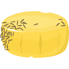 Yellow Round Cheese with Seeds and Transparent Background a Close up Studio Shot