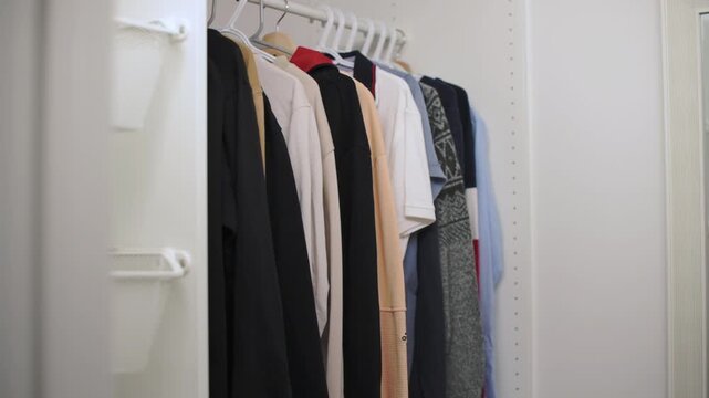 vertical screen closet rack with hanging neutral clothes, capsule wardrobe scene of tidy builtin closet, beige and black garments on white hangers, soft natural light, modern interior