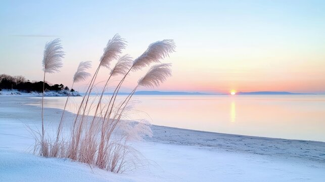Pampas grass plumes stand tall on a snow-covered beach, silhouetted against a soft pastel sunrise over a calm ocean. - Powered by Adobe