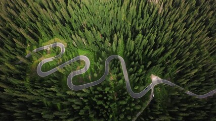 scenic mountain trail curves twisting route navigating through vibrant forested mountain landscape dramatic scenic route meandering through thick pine forests cinematic appeal snake road dolomites