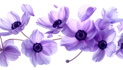 Delicate Purple Anemones on a Twig Floral Elegance