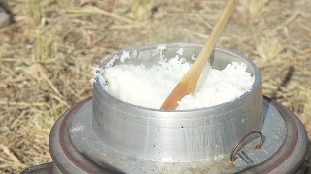 	炊き立てのごはんをよそう女性