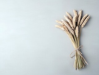 A bundle of dried wheat stalks, tied with natural twine, is placed on a plain, light blue surface. The composition is viewed from directly above, with ample neg