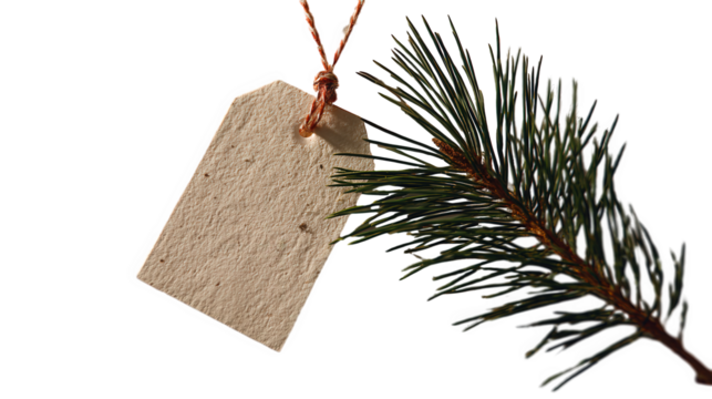 Christmas Gift Tag with Fir Sprig on Kraft Paper