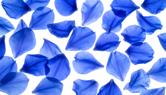 Scattered Blue Petals A Delicate Floral Arrangement on White