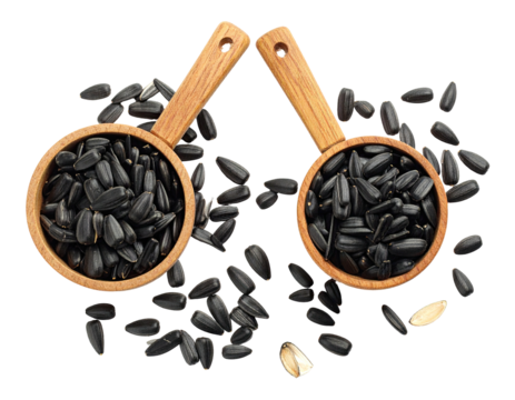 Two wooden scoops of dark seeds surrounded by a scattering of the same