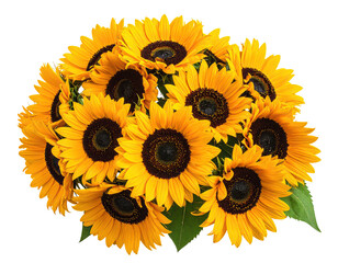 A vibrant bouquet of sunflowers with golden petals, isolated on a dark background