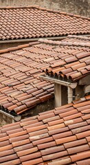 Naklejka premium Terracotta Roof Tiles - A Textured Tapestry of Architectural Detail.