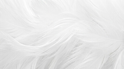 Obraz premium Soft White Feather Abstract Background