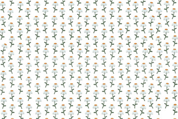 Seamless floral, flower, plant, nature, beautiful, spring pattern on transparent background. Element, decoration, decor, decorative, print, fabric, textile, 