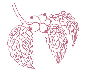 秋のハナミズキのスケッチ素材。ベクターイラスト素材。