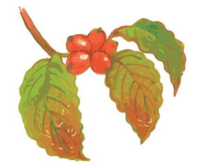 秋のハナミズキのスケッチ素材。ベクターイラスト素材。