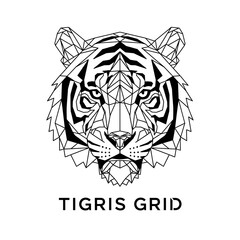 Geometric Tiger Head Logo Design with Abstract Grid Pattern.