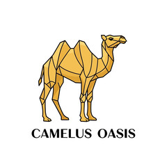Golden geometric camel illustration for Camellus Oasis logo design.