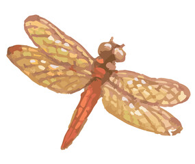 トンボのスケッチ素材。ベクターイラスト素材。