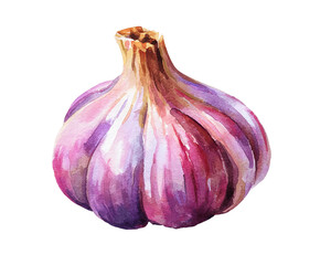 Watercolor Illustration of Garlic Bulb Isolated on Transparent Background Detailed Vegetable Art Organic Food Fresh Produce Culinary Ingredient Still Life, PNG
