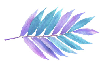 Stylized teal and lavender branch with long, pointed leaves