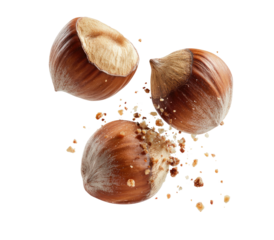 Hazelnuts, cracked open and scattered, on a black backdrop
