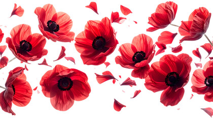 Ethereal blue flowers shedding delicate petals in a gentle cascade against a bright, clean white background, symbolizing fragility and beauty