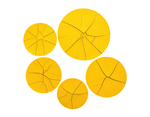 Cracked yellow orbs in a flower-like arrangement