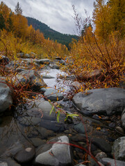 Teanaway river-low angle of view