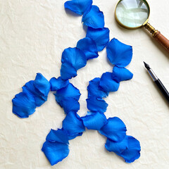 Creative Desk Still Life with Rose Petals Pen and Magnifying Glass