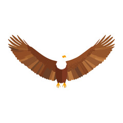 Obraz premium Majestic Bald Eagle Geometric Wingspan on White