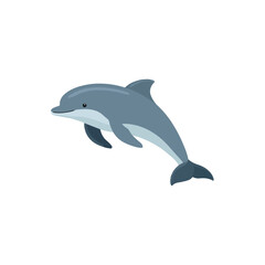 Fototapeta premium Playful Dolphin Illustration on White Background, Aquatic Design
