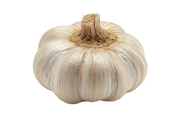 Whole garlic bulb, pale skin, stem
