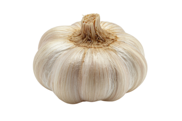 Whole garlic bulb, pale skin, stem