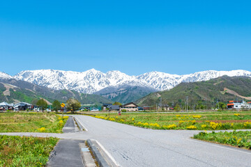 白馬村　白馬三山　北アルプス © Mugi