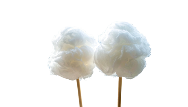 Two white cotton candy on sticks, against black