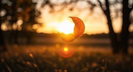 Golden autumn leaf dances in the warm sunset glow, a moment of seasonal magic and peaceful beauty, perfect for wellness, nature, and inspiring fall campaigns
