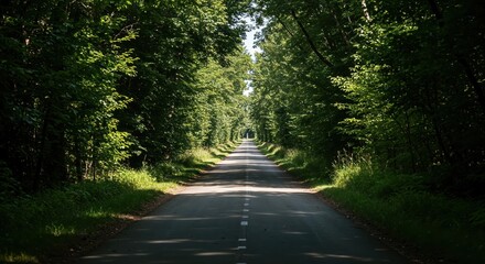 Fototapeta premium Road Through the Verdant Canopy: A picturesque road stretches into the distance, framed by a vibrant archway of lush green trees, creating a captivating scene of natural beauty and tranquility.