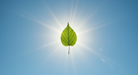 Experience the radiant freshness of nature with this stunning green leaf against a bright blue sky, perfect for wellness, eco-friendly brands, or inspiring a sense of calm and renewal