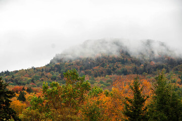 fall colors in Boone North Carolina