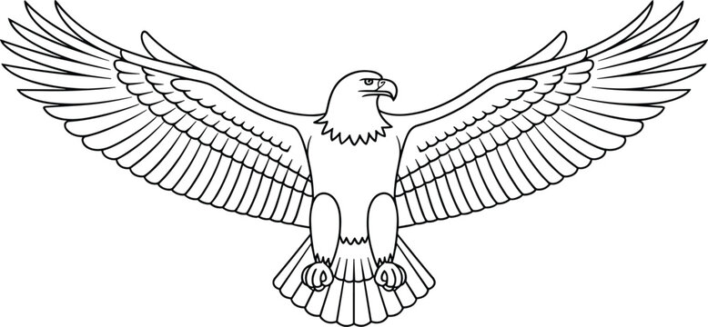 Black and white line art eagle with wings spread bird