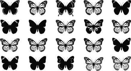 Collection of black and white butterfly silhouettes and line art illustrations insect © Mokarrm Art
