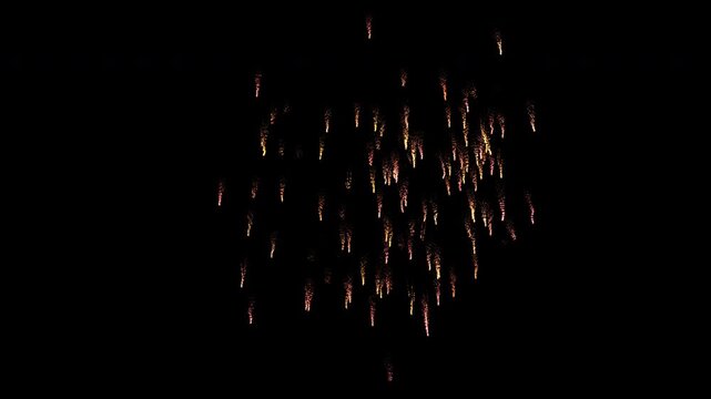 Bloom of firework on alpha background. Blast spark particles Explosion. Concept of elegant festive, New Year, luxury event, celebration, anniversary, holidays, birthday.