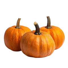 Fototapeta premium Three Vibrant Orange Pumpkins with Textured Skin and Stems