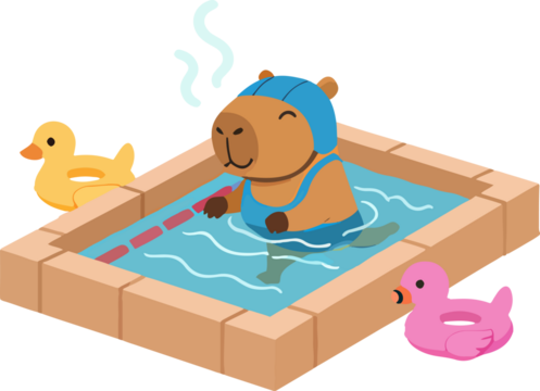 Happy capybara in a swimming pool with adorable rubber ducks