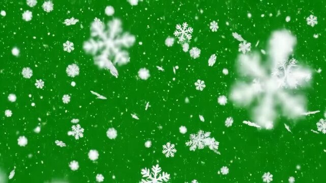 Falling Snowflakes on Green Screen - This video shows a green screen background with falling white snowflakes. The effect would be ideal for creating a festive or winter-themed overlay.