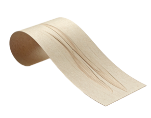 Curled sheet of light wood with grain details showing
