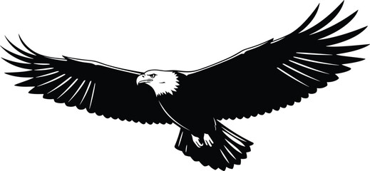 American bald eagle vector illustration, flying bird of prey with spread wings, black and white mascot design, isolated on white background.