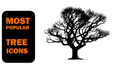 Bare tree branches silhouette on white background artistic image with intricate detailed twig pattern in winter season graphic illustration