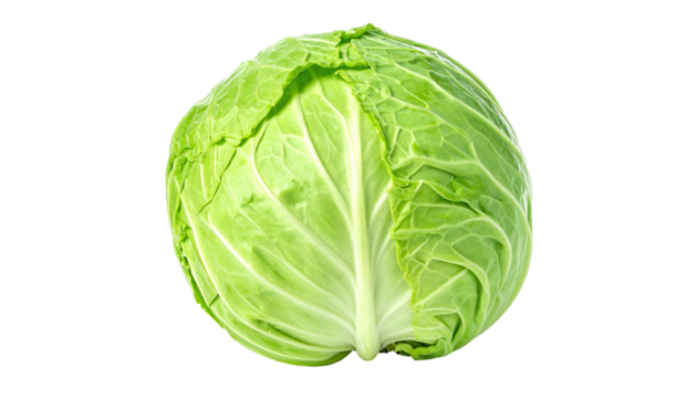 A fresh, green cabbage head isolated against a black background