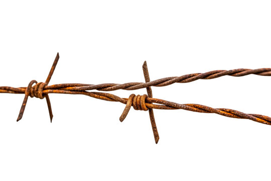 Rusty barbed wire fence strand with sharp points crossing over a second strand, representing boundary, security, or restriction, ideal for themes of exclusion or property lines. - Powered by Adobe
