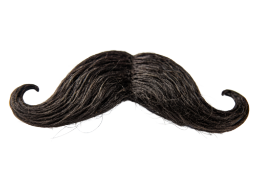 Realistic dark brown hair mustache with curled ends on a plain surface for costume or character portrayals